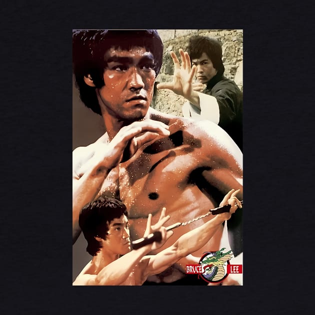 Bruce Dragon Legend Movie Bruce Jeet Kune Do by Garmentcrooks